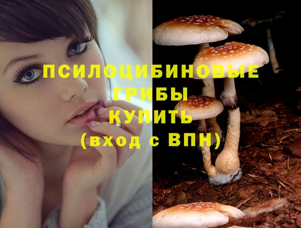 бошки Домодедово