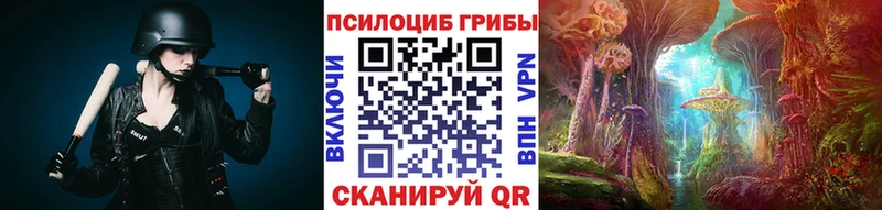 kraken как войти  Шумиха  Галлюциногенные грибы Magic Shrooms  где купить наркоту 